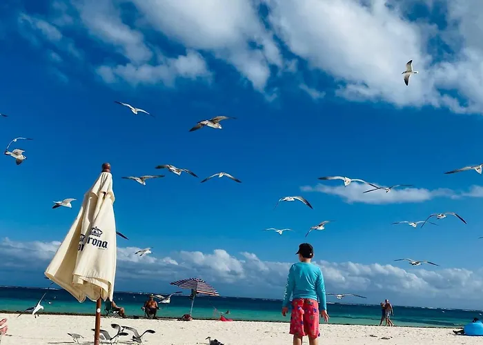 Beachfront Views Next To The Pier Puerto Morelos